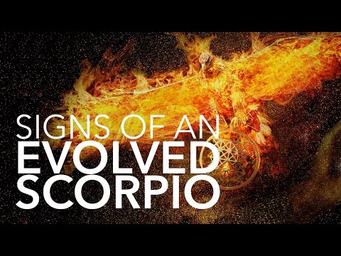 Evolved Scorpio