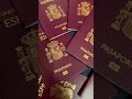 EU passport