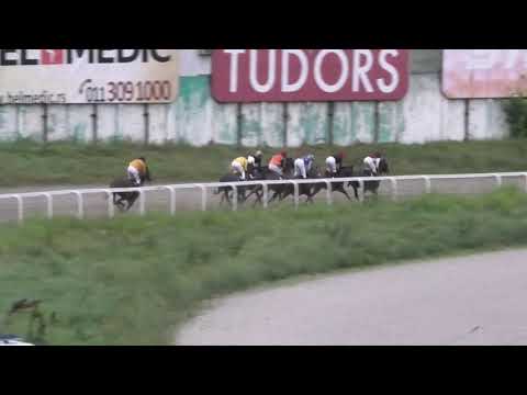 Trka "Laguna" 23.06.2019 Streif - Milan Konkolj