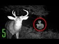 5 Creepiest Unexplained Trail Cam Photos - Dark5 ...