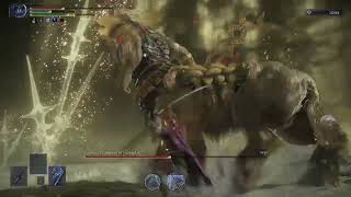 Elden Ring Night Regin Fulghor Enhanced solo no deaths