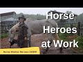 Horse Shelter Heroes | S2E10 | Full Episode