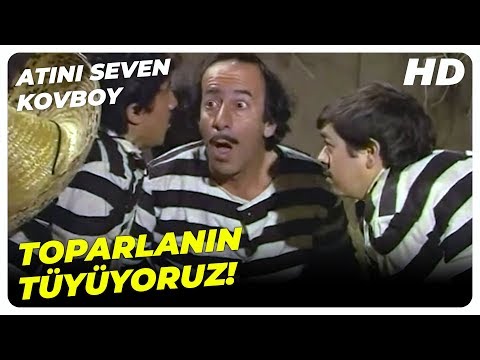 Atını Seven Kovboy - Dalton'lar Define Haritasını Çaldı! | Sadri Alışık Eski Türk Komedi Filmi