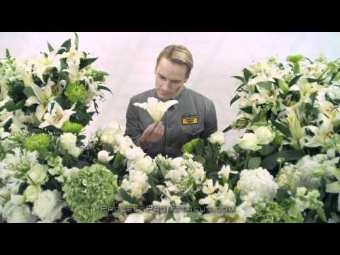 Introducing the David 8 - The Next Generation Weyland Robot.mp4