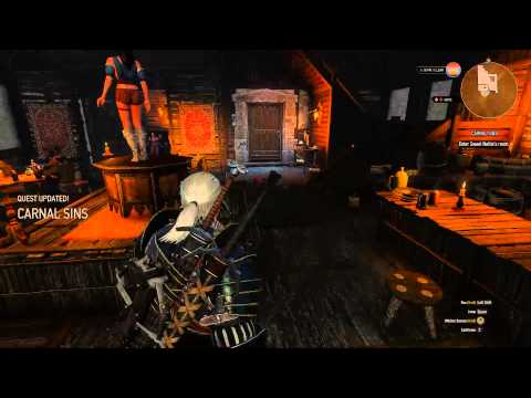 The Witcher 3 Wild Hunt (PC) Cheathrough - Pt. 113
