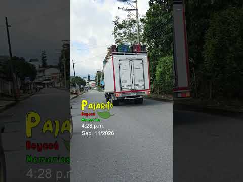 Tráfico por Pajarito Boyacá (Sep.11/2026) (4:28 p.m.)