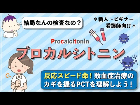 カルシドについて詳しく解説