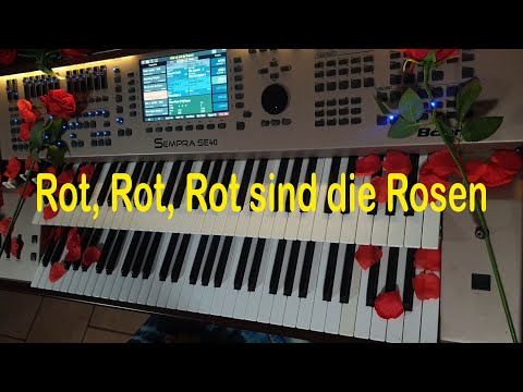 Rot sind die Rosen!  ♬ (Böhm-Orgel SEMPRA SE 40) 3.0 ProLib