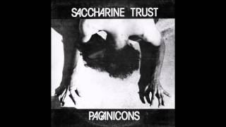 Saccharine Trust - Paganicons (EP)