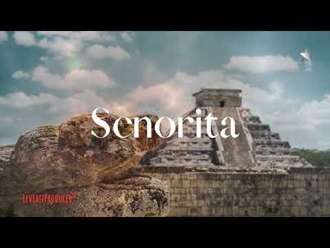 (FREE) - Hamza x Niska Type Beat - "Senorita"