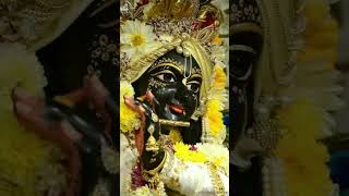 Download lagu banvari Teri yari ne deewana bana diya ||#shorts #viral #vrindavan #radhakrishna #bankebihari mp3 Download lagu banvari Teri yari ne deewana bana diya ||#shorts #viral #vrindavan #radhakrishna #bankebihari mp3