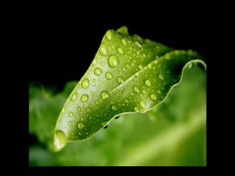 Arksun - Regeneration