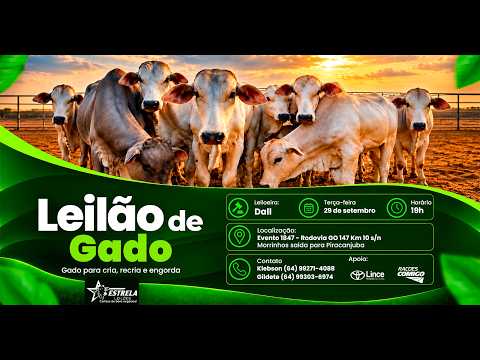 ESTRELA LEILÕES  - AO VIVO - 29/09/2026  -  19H - MORRINHOS - GOIÁS