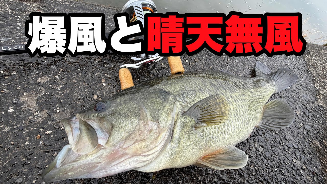 爆風と無風で答えが変わる春バス攻略法【紀ノ川】