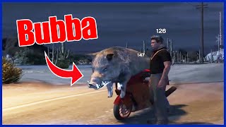 ADMINS get Trolled by Bubba the Boar (Ft. Knep) | GTA RP