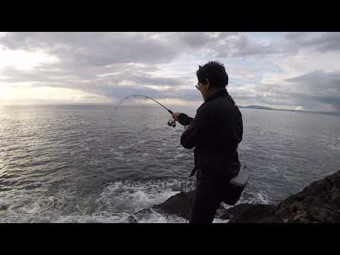 Pirate Lure Teaser 15cm paddle tail ( custom colour )