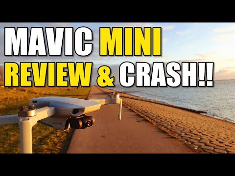 DJI Mavic MINI Flight Test Review IN DEPTH Pros & Cons (Bonus CRASH TEST!)