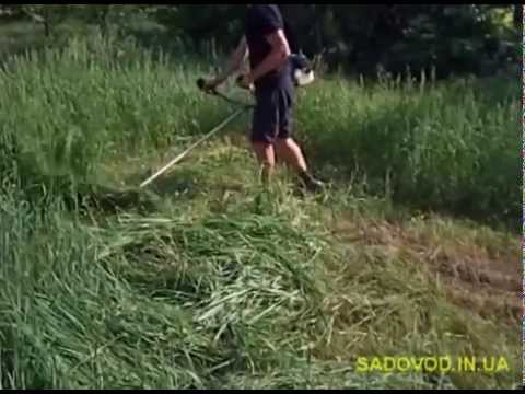 Мотокоса Sаdko GTR-2800 (2,8 л.с.) обзор и в работе