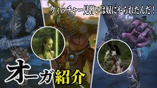 ウィッチャー3：改・『オーガ』紹介＆戦闘「ネッカー、トロール、サイクロプス、ゴリアテなど」【TheWitcher】