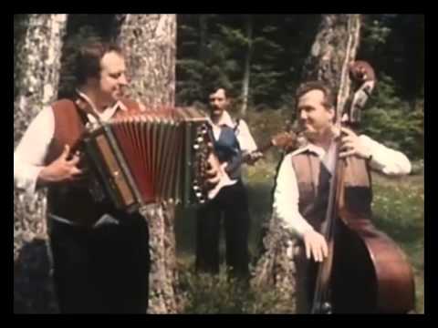 Ansambel Franca Flereta - Mamina ljubezen