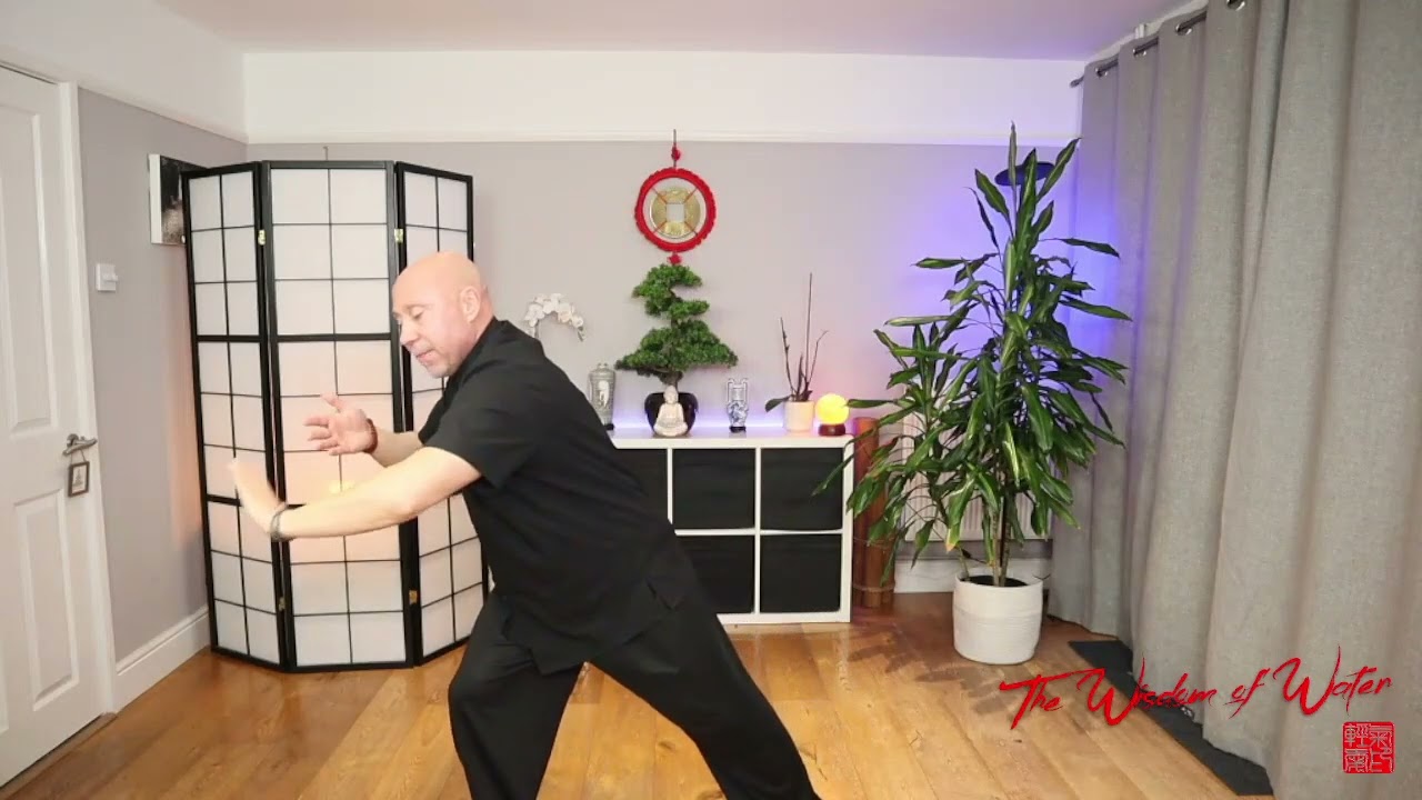 Arm Swing Qigong