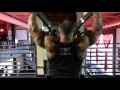 Hammer Lat Pulldown 7.31.16