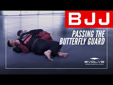 BJJ | Passing The Butterfly Guard