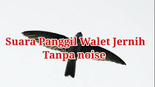 Download lagu Suara Panggil Walet Jernih Tanpa Noise mp3