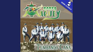Como Chapulin Music Video