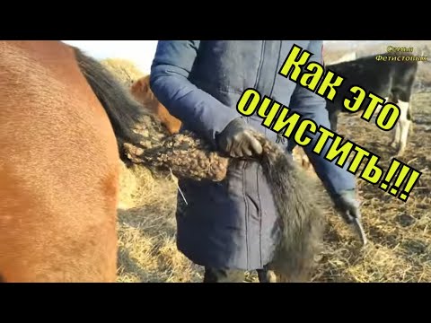 Поилка за 70 тысяч. Котел в летней кухне./ Семья Фетистовых