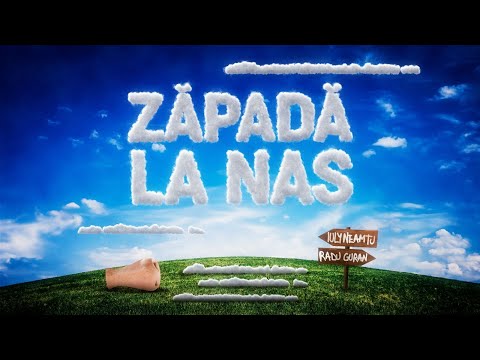 Iuly Neamtu x Radu Guran - Zapada la nas | Official Visualizer