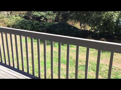 1630 Regatta - Video 2 of 2
