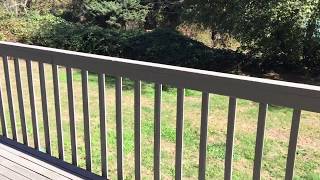 1630 NE Regatta #202 Apartment for rent in Oak Harbor WA 98277
