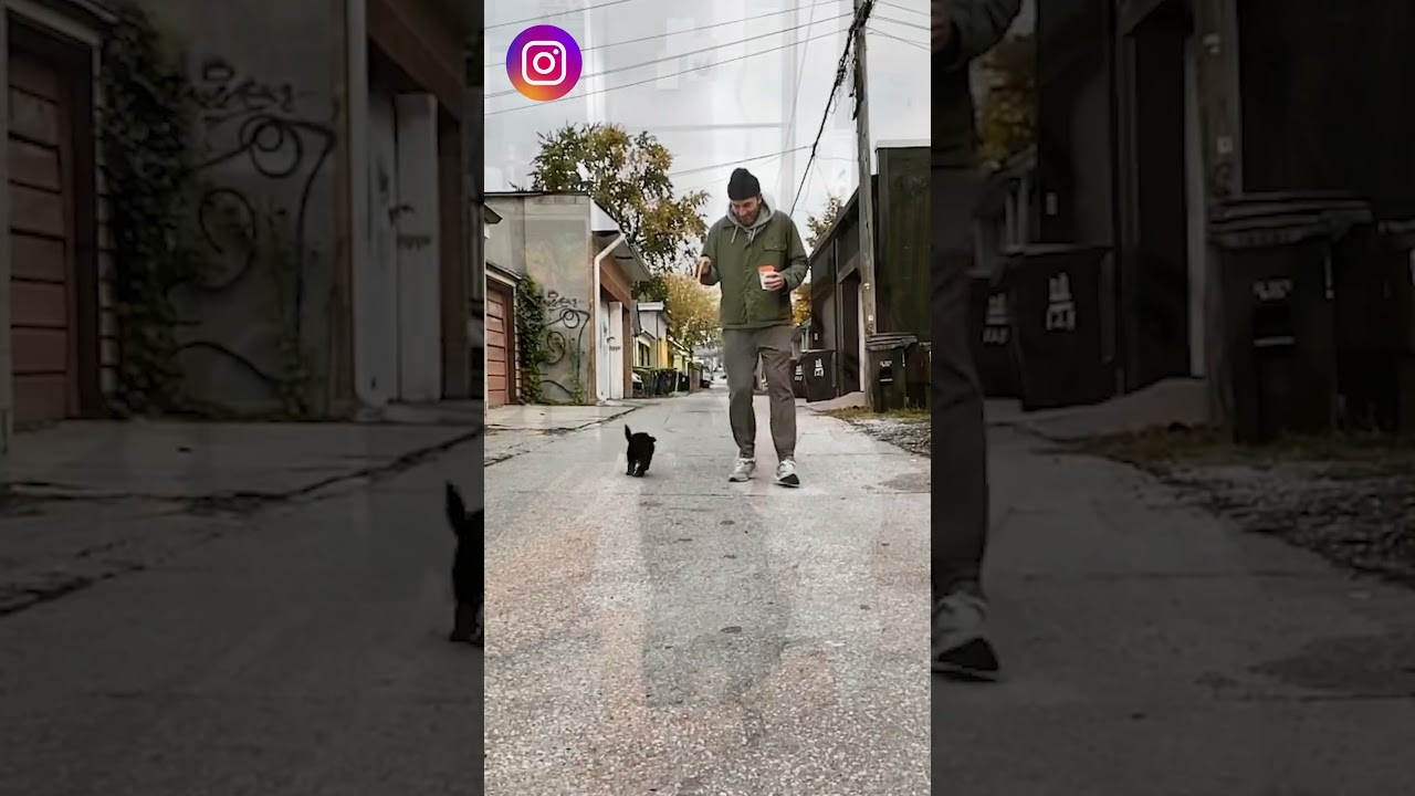 Sullivan’s Crossing Star Morgan Kohan’s (Maggie Sullivan) Relationship Drama Revealed #MorganKohan