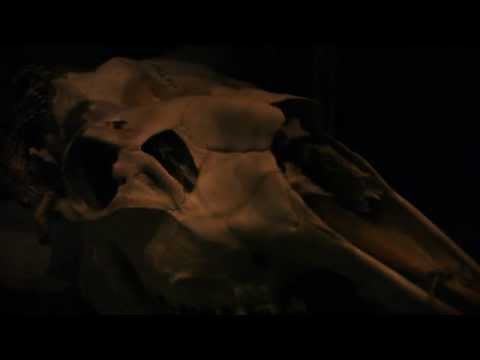 Lipz - Bye Bye (Music Video)