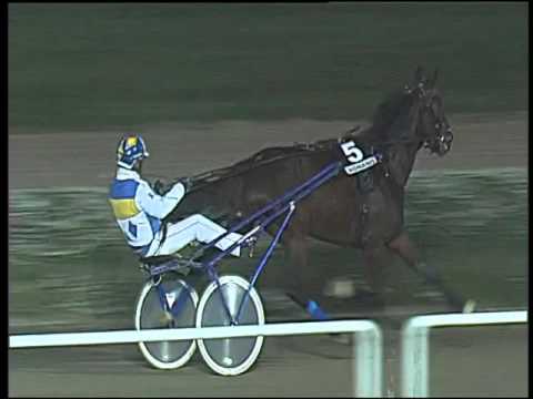 Trotto 19/11/2015 - 5° corsa