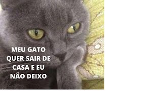 O MEU GATO QUER SAIR E EU NO DEIXO