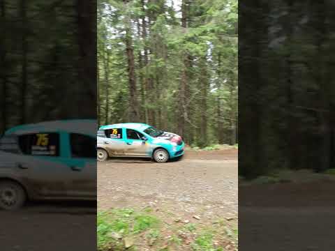 Raliul Sibiului 2020