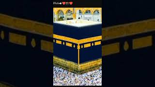 Download lagu #haiderhaiderrecords #love #page #plz #beautiful #haidery #voiceeffects #haider #mola #answer mp3