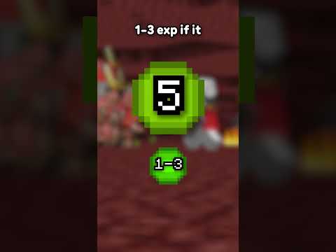 What is the BEST way to get EXP in Minecraft...