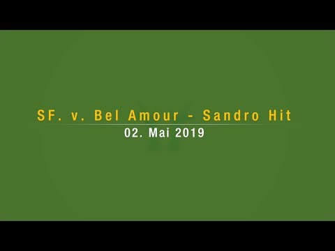 SF v.  Bel Amour - Sandro Hit / geb. 02. Mai 2019