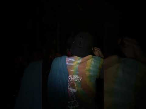 Langit  by bugs and bugs and roots family