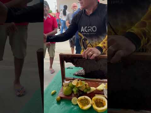 Representando a chácara São José na feira da agricultura familiar da cidade de cajazerinhas