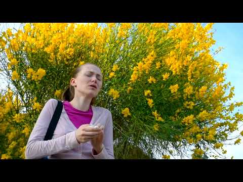 Slide 2 - Allergen Awareness E-Learning Training (video)