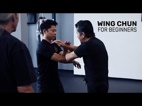 Wing Chun For Beginners: Basics, Fundamentals and Drills