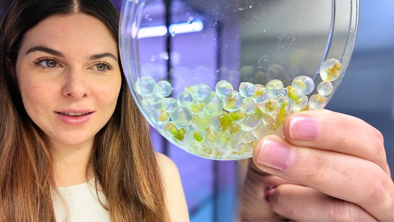 Can Humans Make a Better Seed?