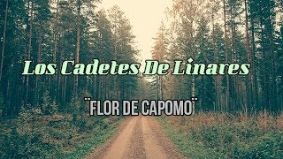 LOS CADETES DE LINARES -¨Flor De Capomo¨ (LETRA)