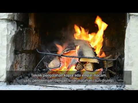 potensi kopra Halmahera Utara mari ke Indonesia timur