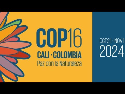 Himno de la COP16 muestra la belleza natural de Colombia - ELHERALDO.CO
