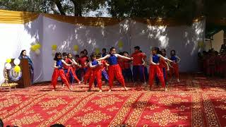 American Montessori Public School Video